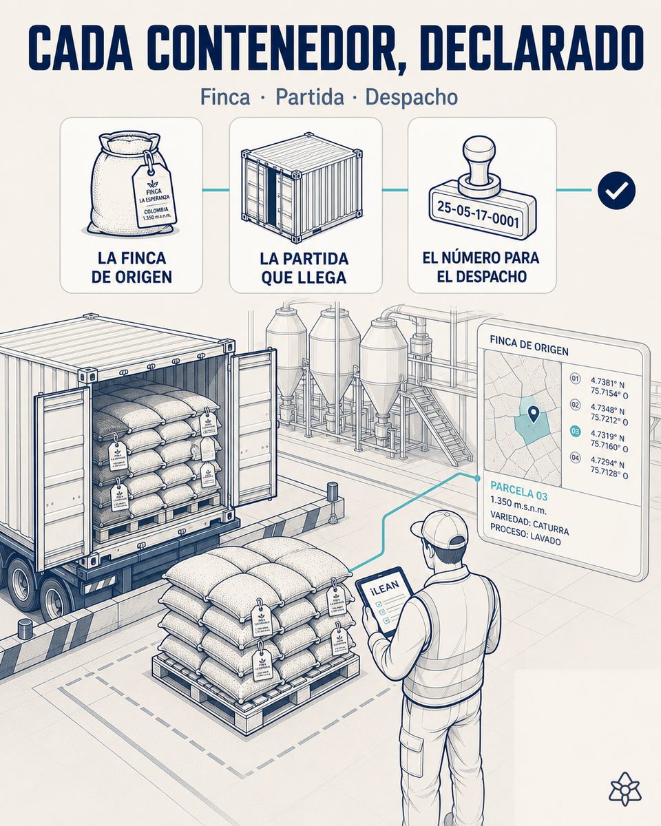 Muelle de recepción de una tostadora de café: contenedor de café verde descargando, sacos etiquetados por finca y responsable revisando en una tableta el expediente de diligencia debida con las coordenadas de las parcelas