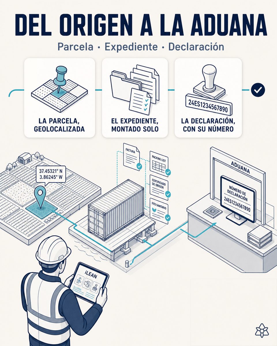 Mapa de la cadena cubierta por el EUDR: parcelas de origen geolocalizadas, documentación de proveedor y la declaración de diligencia debida con su número de referencia camino del despacho de aduana