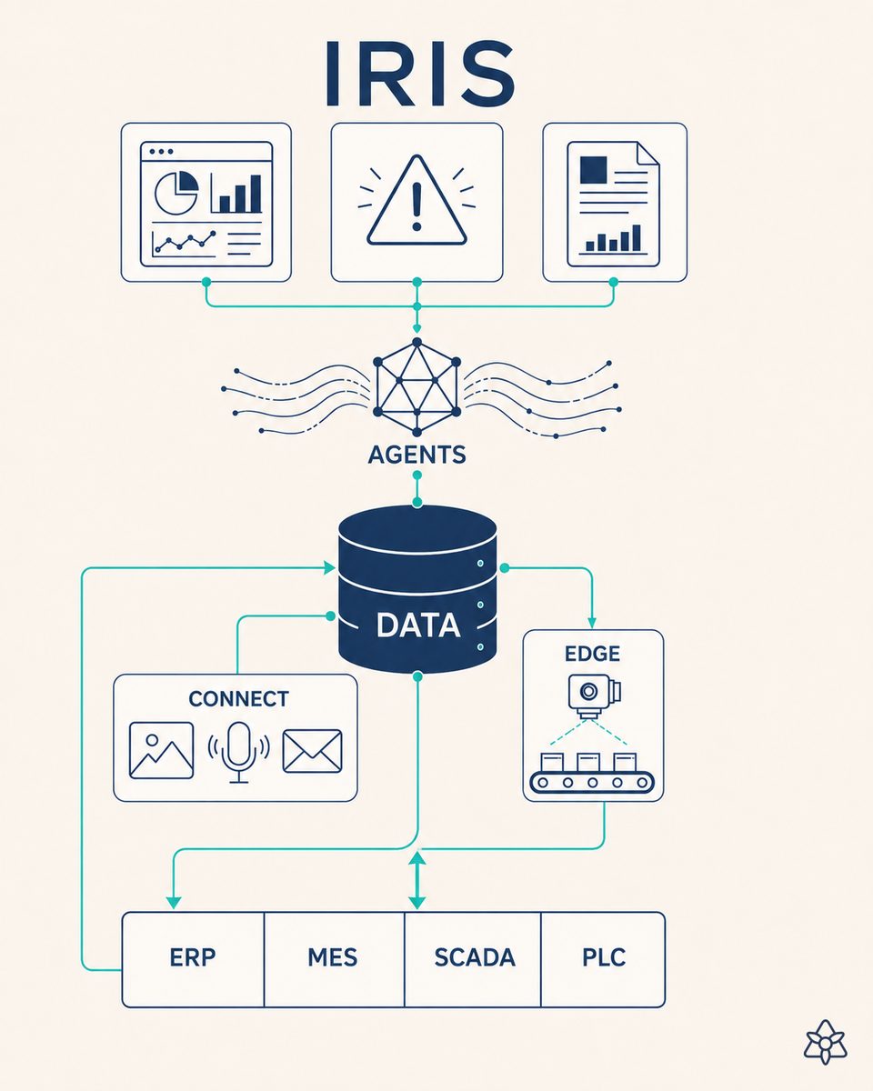 Informational twin of a plant: live state of machines, batches and orders in the IRIS central memory, queryable and simulatable by the production team
