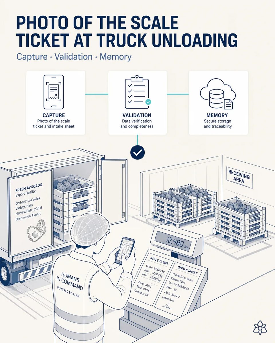 Receiving supervisor in a hairnet photographing the scale ticket and handwritten intake sheet with a phone, beside a scale showing the net weight and a truck loaded with crates of Hass avocados