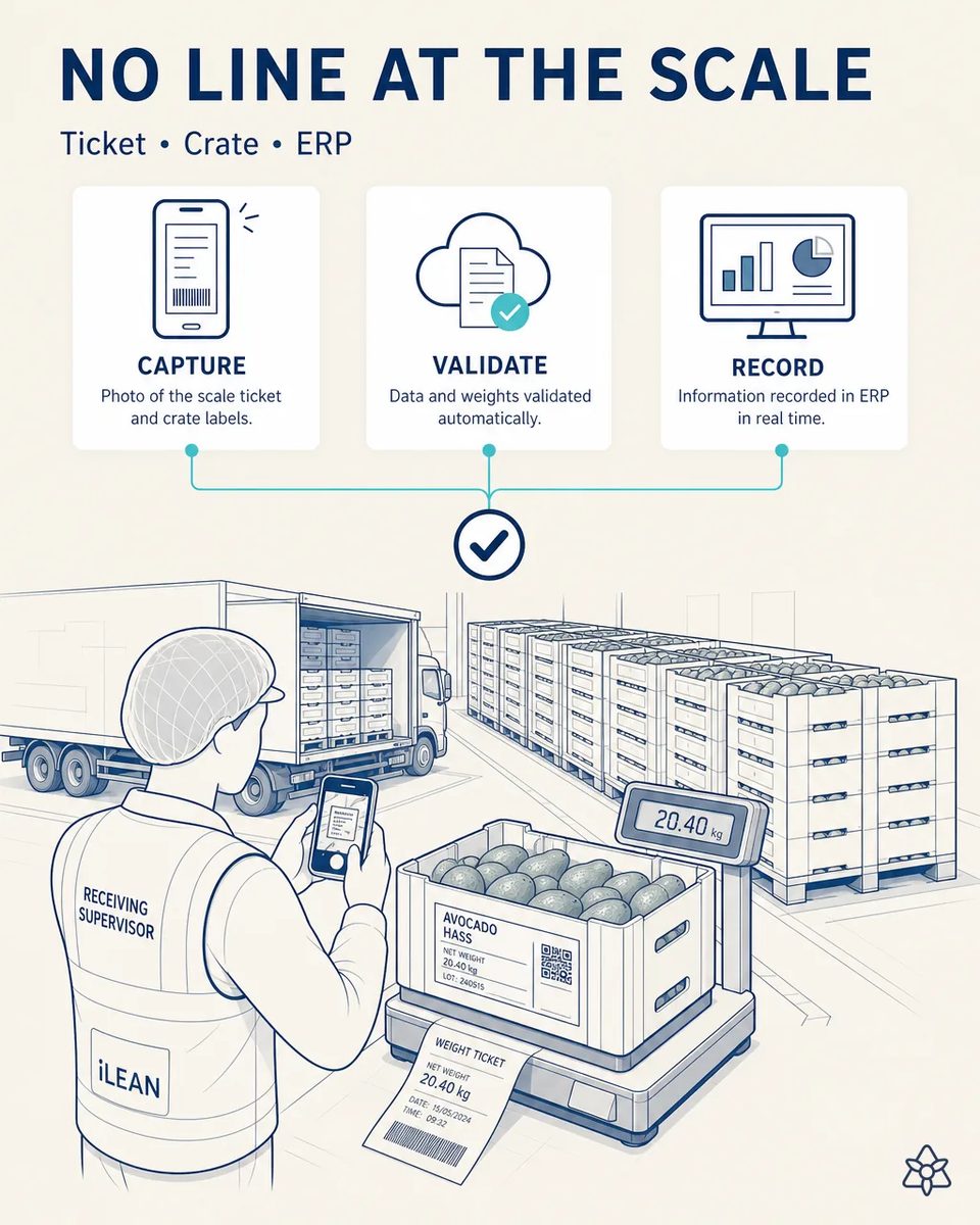Receiving supervisor photographing with a phone the label and QR code on a crate of Hass avocados sitting on a scale, with the printed weight ticket and a truck being unloaded behind