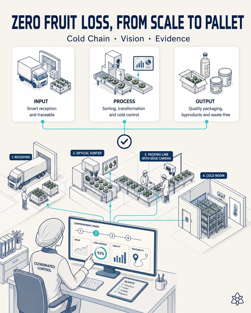 Quality lead at a coordinated control screen linked to receiving, the optical sorter, a packing line with an Edge camera and a cold room of avocado pallets, with temperature and quality alerts