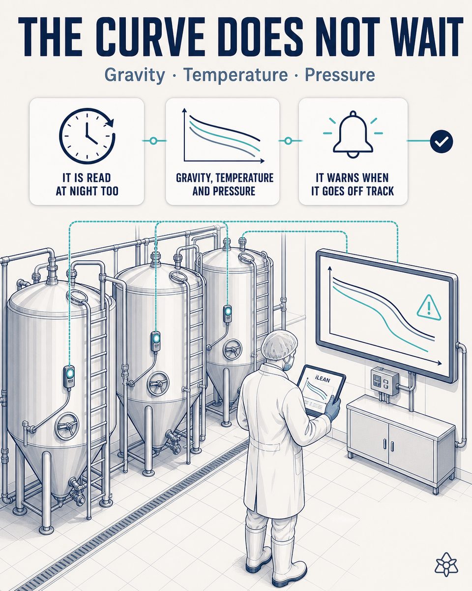 Brewery fermentation hall with cylindroconical tanks and a brewmaster reading the curve on a tablet with iLEAN — AI fermentation control