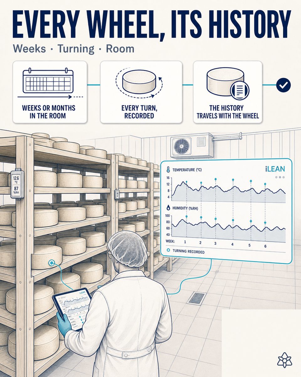 Cheese aging room with iLEAN Edge sensors on the racks and a production manager reviewing the per-batch dossier — continuous aging traceability