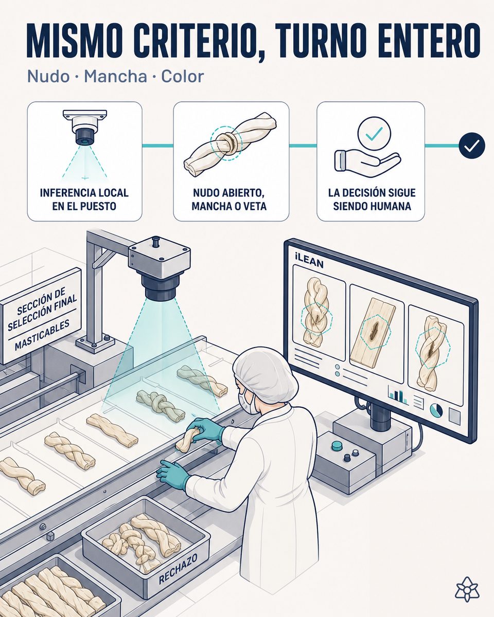 Cámara industrial cenital iLEAN Edge sobre la mesa de clasificación de una fábrica de masticables de carnaza, detectando nudo abierto, mancha y talla fuera de rango antes del envasado
