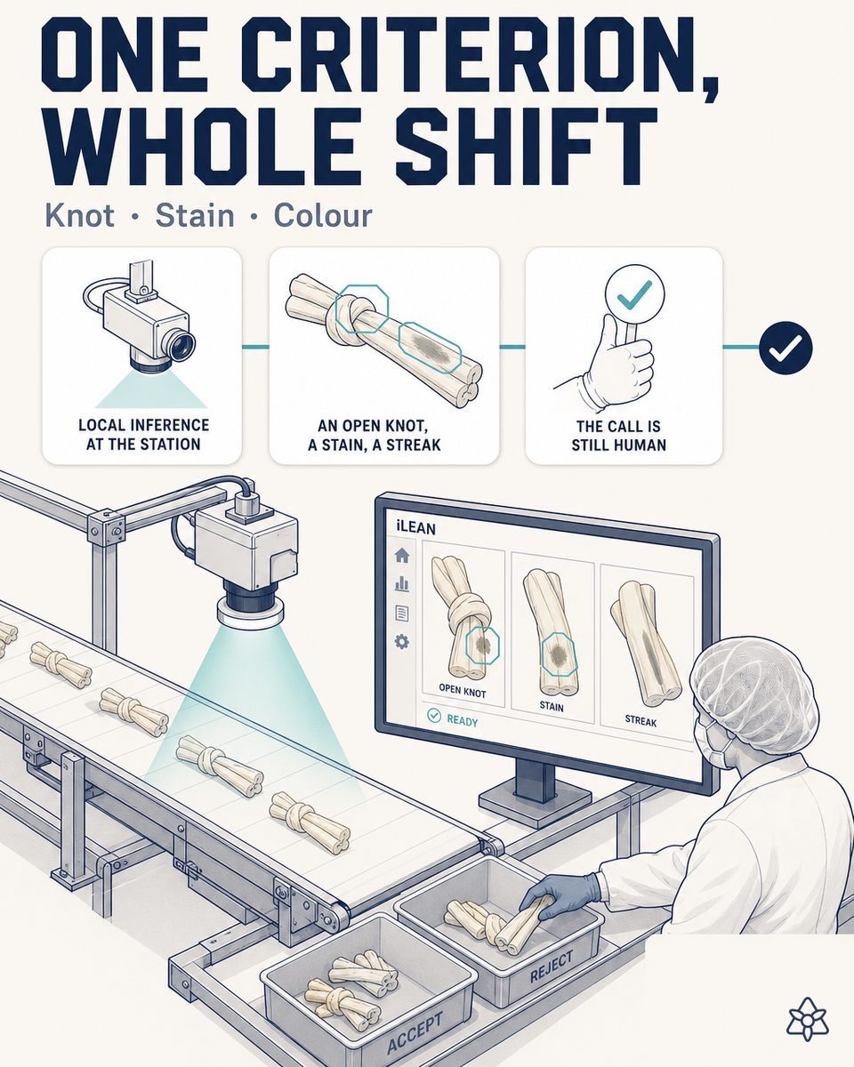 Overhead iLEAN Edge industrial camera over the sorting table of a rawhide chew factory, detecting open knot, stain and out-of-range size before packing
