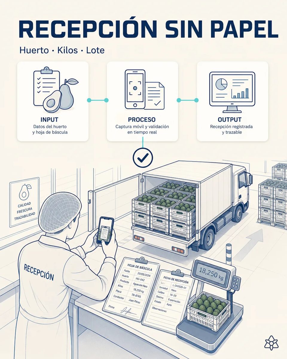 Jefe de recepción con cofia fotografiando con el móvil la hoja de báscula y la ficha de recepción de aguacate Hass junto a una báscula con un huacal y un camión cargado de cajas de fruta