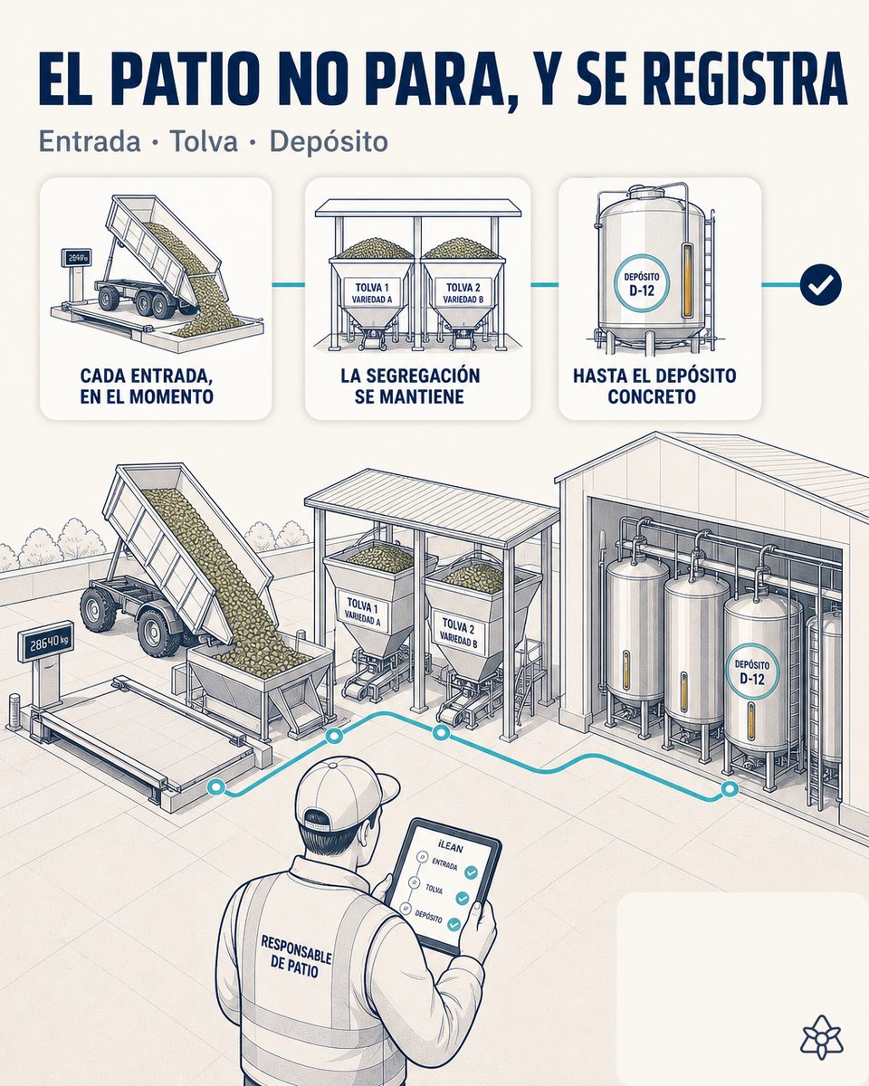 Báscula de almazara con remolque de aceituna y tableta mostrando la partida vinculada al socio por iLEAN — trazabilidad de aceite de oliva con IA