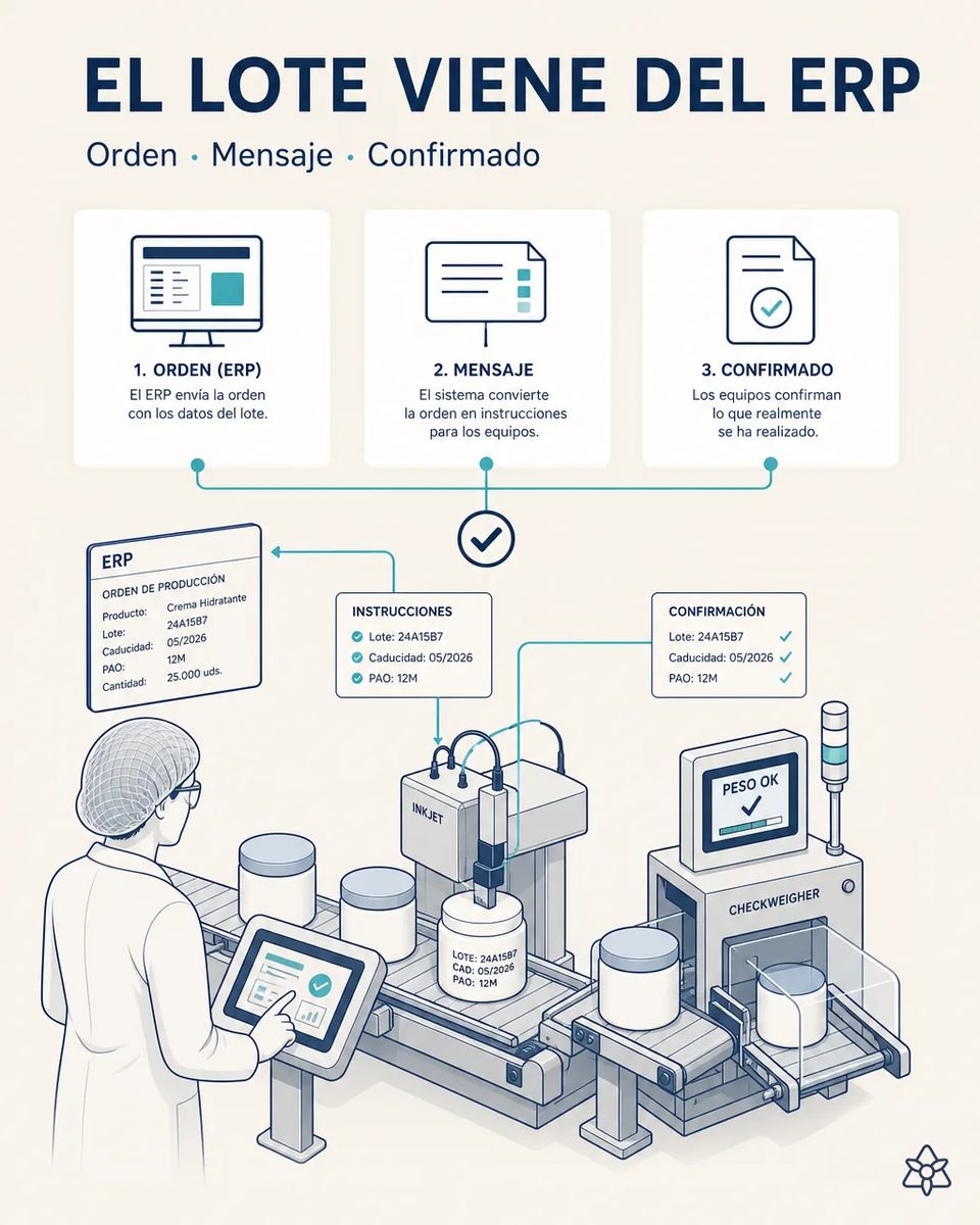 Línea con codificadora marcando lote, caducidad y PAO en envases de crema y un checkweigher confirmando el peso, con la orden de producción del ERP en pantalla y la operaria validando en tableta